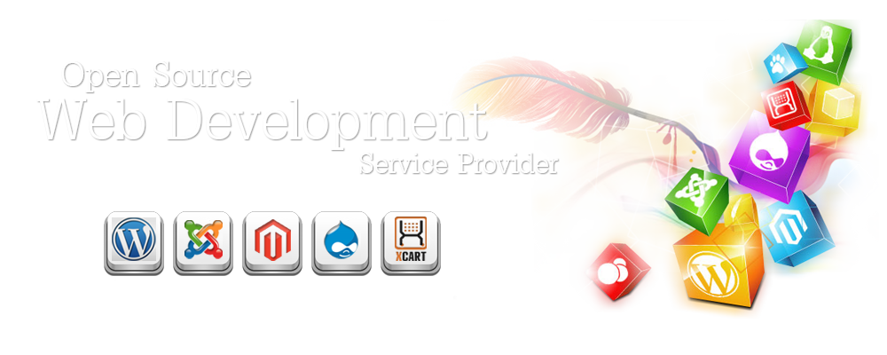Open Source Web Development Service Provider