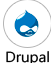 DSWshop Drupal Web Development Service
